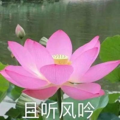 北京文旅帮扶“好物甄选”名单发布
